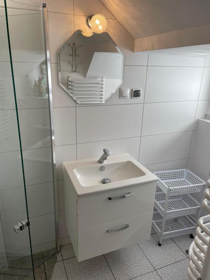 Hacjenda - Domek Caloroczny Krasnobrod Ngoại thất bức ảnh